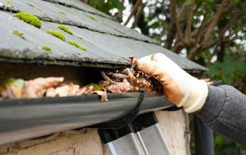 gutter cleaning Elswick
