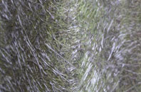 Elswick fibreglass roof work